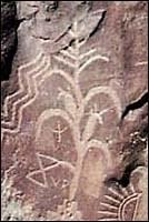 Petroglyph of maize plant