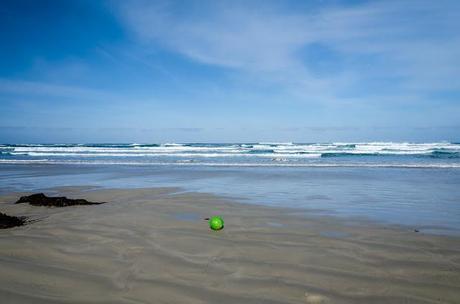 green fishing buoy lying on beach at waters edge