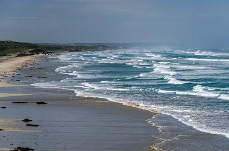 view of surf from nobles rocks