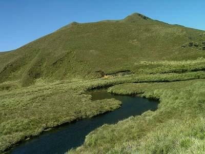 Eravikulam National Park closed to visitors Eravikulam National Park closed to visitors