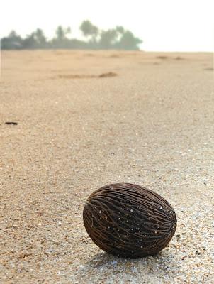 Where's your slice of South West Sri Lanka? Part 2 Where's your slice of South West Sri Lanka? Part 2