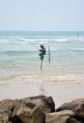 Where's your slice of South West Sri Lanka? Part 2 Where's your slice of South West Sri Lanka? Part 2