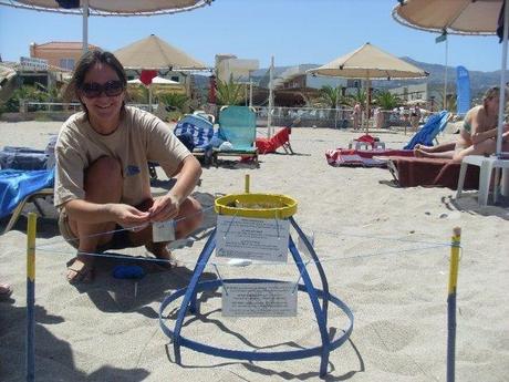 New Greece Sea Turtles Conservation project New Greece Sea Turtles Conservation project