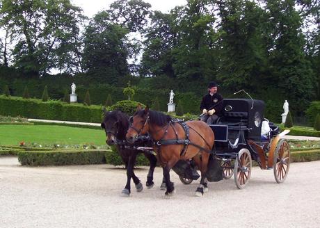 Horse & Carriage Ride at Palace of Versailles - France