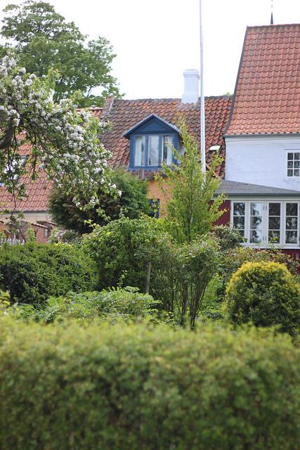 A Guide to Ærø IMG_6767