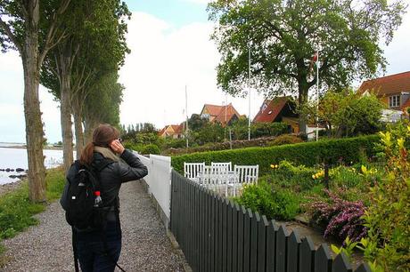 A Guide to Ærø IMG_6769
