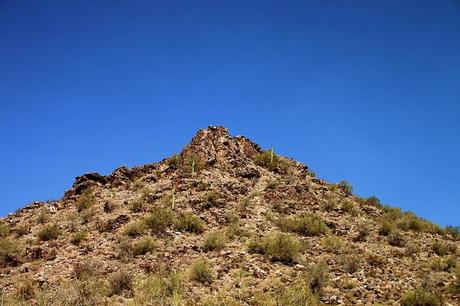Arizona - The White Tank Mountains IMG_2993_01