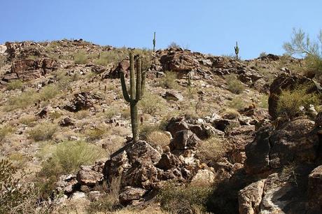 Arizona - The White Tank Mountains IMG_3241_01