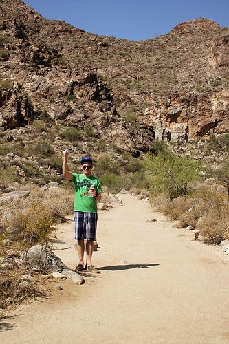 Arizona - The White Tank Mountains IMG_3077_01