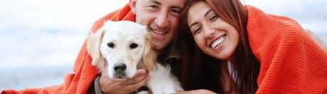 Valentine’s Day: romance is in the air pet-friendly