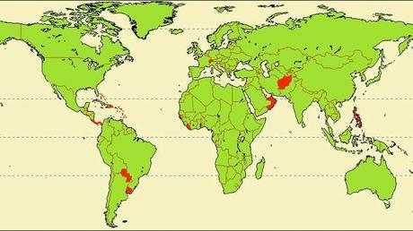 Cash Hoarding, Tax Evasion, and the Corporate Coup mappemonde-article
