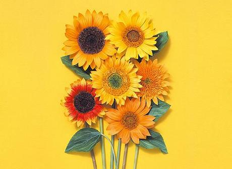 paper-sunflowers-kogamicraft paper-sunflowers-kogamicraft
