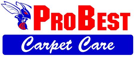 Probest Logo Carpet Care1 Dust mites are leading cause of asthma in children.