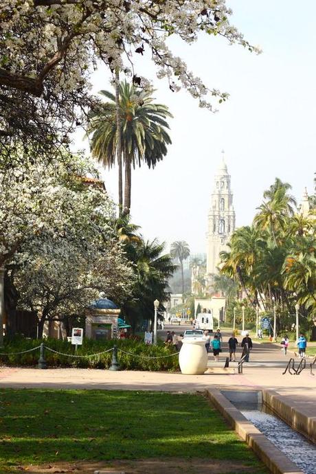 California Cool. image