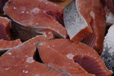 Frankenfish: genetically engineered salmon close to winning FDA approval By Andrea Pokrzywinski