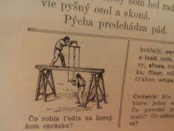View from one of the pages of my new 1913 Slovak Book Friend