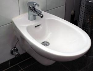 My philosophy of life and an invitation to see mountains of bidets in Stoke A bidet, of a type visible from Stoke canal