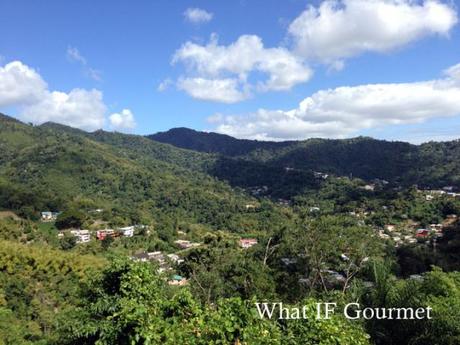 View from Lady Chancellor Hill in Port-of-Spain, Trinidad.