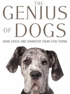 Dogs are smarter than you think, and here’s proof