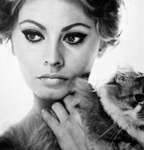 Sofia Loren style makeup