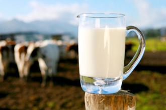 The Great Milk Debate…