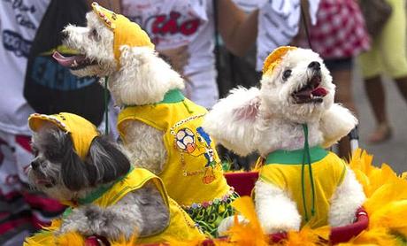 The Largest Pre-Carnival DOG Party Hits Rio with “Blocao”