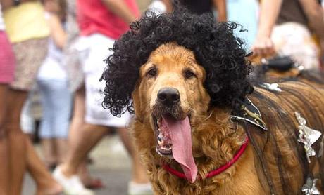 The Largest Pre-Carnival DOG Party Hits Rio with “Blocao”