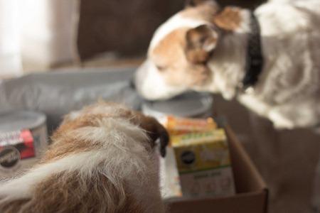 Designer Whey (2 of 6) Designer Whey (2 of 6)