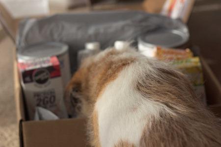 Designer Whey (5 of 6) Designer Whey (5 of 6)