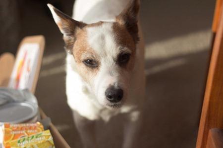 Designer Whey (3 of 6) Designer Whey (3 of 6)