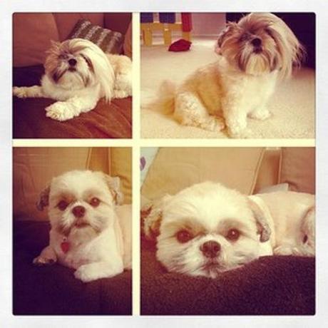 Hello My Name Is. image