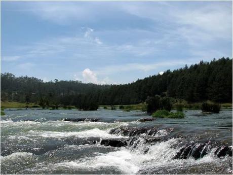 Top 25 Honeymoon Destinations in India Pykara river - Ooty (Photo: Genius Gene)