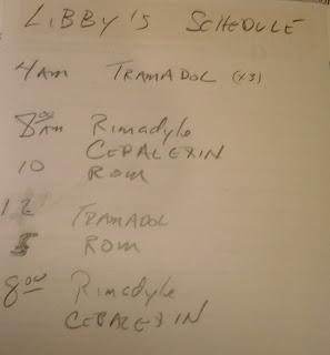 The Haps in the Household The Haps in the Household