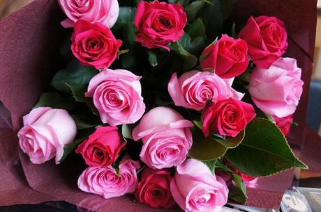 Valentine’s Day!! valentine's day