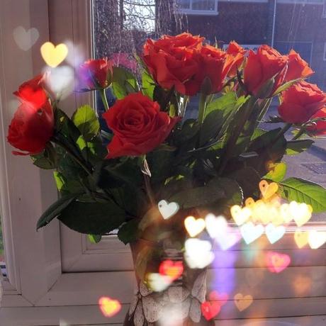 My very first roses! My very first roses!