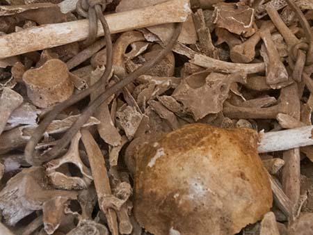 Bone fragments and skulls from those murdered in Security Prison 21