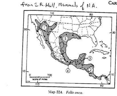 An earlier map of the historic occurrence of jaguars by the renowned mammologist E. Raymond Hall.  Dr. Hall had demarcated 5 subspecies, thus the numbers on the map. Note: the overall area of occurrence for jaguar in Arizona and New Mexico is greater than the area in the nearby state of Sonora, Mexico.