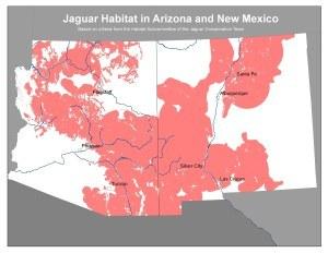Potential habitat for jaguars in Arizona and New Mexico, as determined by the Habitat Subcommittee of the Jaguar Conservation Team (2006). This map is based on records of past jaguar occurrence and habitat associations, surface water availability, absence of heavy agricultural or urban development, and other factors.