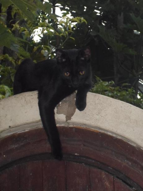 an instant of life captured for eternity… Image