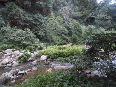 an instant of life captured for eternity… Image