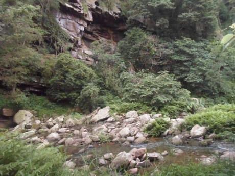 an instant of life captured for eternity… Image