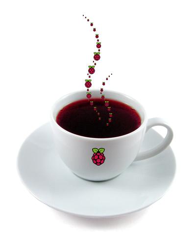 Controlling the Raspberry Pi’s GPIO pins from a web browser Raspberry Pi Cup