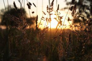 Gifted And Blessed/Experiencing The Nature Of Being Special And Unique file2271308644809