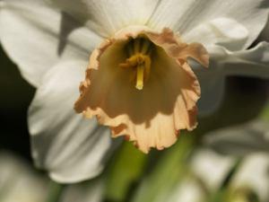 Gifted And Blessed/Experiencing The Nature Of Being Special And Unique OLYMPUS DIGITAL CAMERA