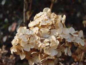 Second Sight/Living With Real Paranormal Abilities file0002042584422