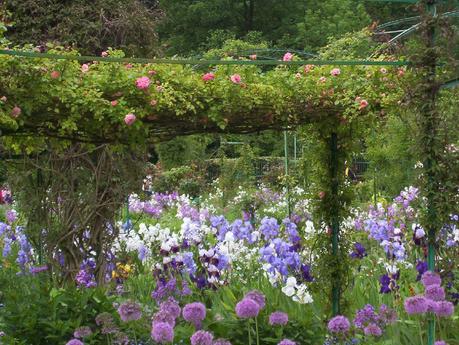 phlox, irises and allium framed by rose-strewn trellis in Claude Monet garden - Giverny - France
