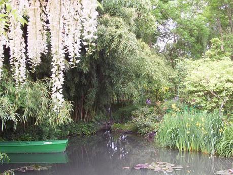 Claude Monet Water Lily Pond in Giverny - white wisteria hanging above boat - France