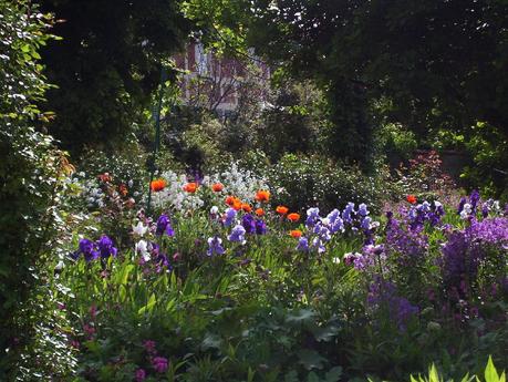shaded glen of poppies and irises in Claude Monet's house garden - Giverny