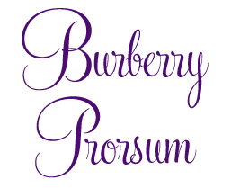 The Fall/Winter 2013 Collections ~ Burberry Prorsum