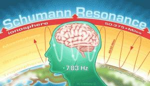 nervous system resonates at the same frequency as the Schumann resonance